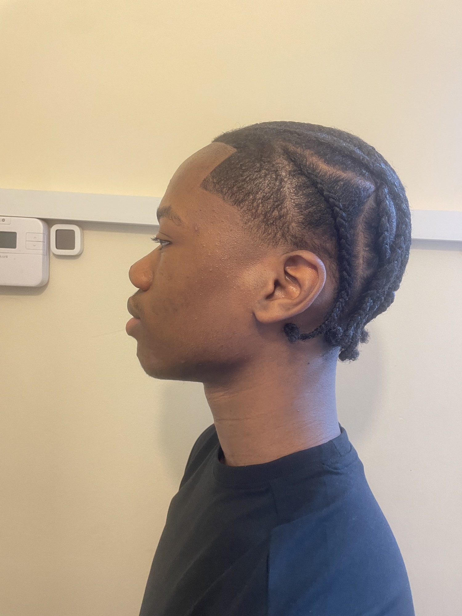 Left profile, cornrows